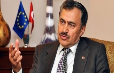 Çıkan yangınlarda 3 bin 100 hektar alan zarar gördü!