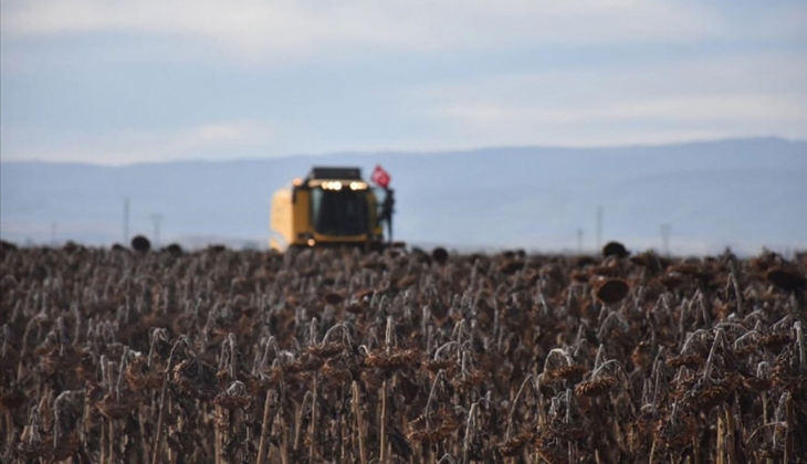 Çiftçiler ayçiçeği ekimlerine yeniden başladı! Ayçiçeği fiyatları ne kadar? Borsalarda yağlık ayçiçek kaç TL?