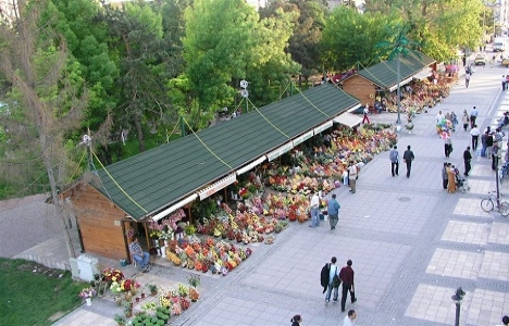 Kayseri Belediyesi 14 çiçekçi dükkanını kiraya veriyor!