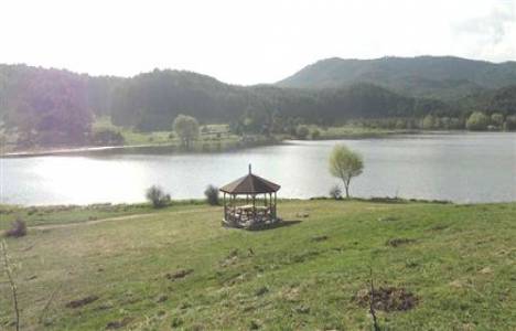 Yaraş Ormaniçi Dinlenme Yeri 10 yıllığına kiraya verilecek!