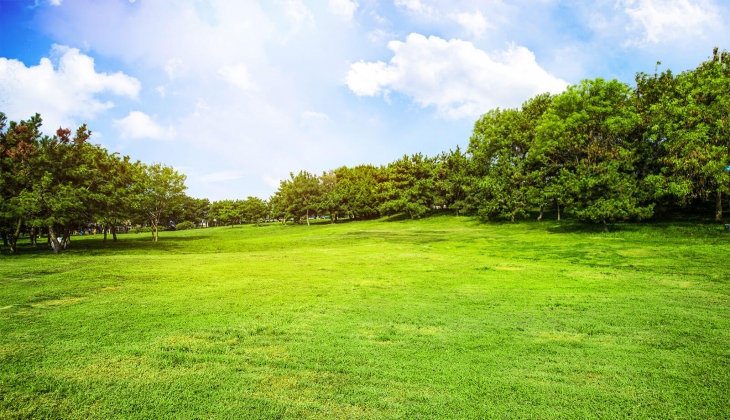 2 ildeki arsa, arazi ve konut satılıyor! KDV den muaf, yüzde 20 indirimle gayrimenkul sahibi olabilirsiniz!