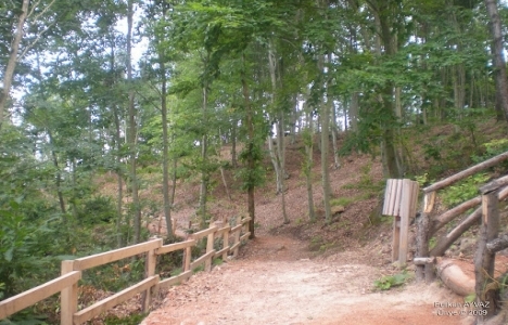 Çamlık Tepe Mesire Alanı'nda çalışmalar devam ediyor!