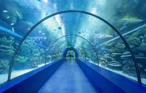 Tünel Akvaryum için TOKİ'den yer tahsisi yapıldı!