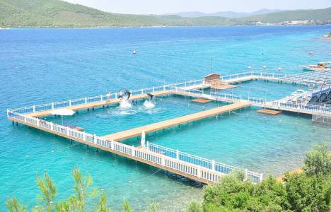 Bodrum'da yunus parkının kapatılması sebebi ile eylem yapıldı!