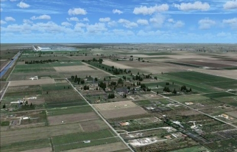 Sakarya'da iflas eden çiftçi arazisi satıyor!