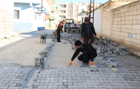 Şanlıurfa Akçakale'de yol çalışmaları sürüyor!