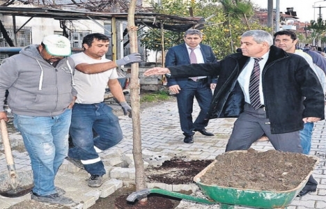 Dalaman’a 5 bin ağaç dikilecek!