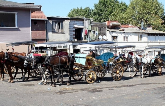 Adalar da 18.7 milyon TL ye icradan satılık havuzlu ahşap ev!
