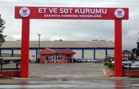 Et Balık Kurumu Erenler'de arsa arıyor!