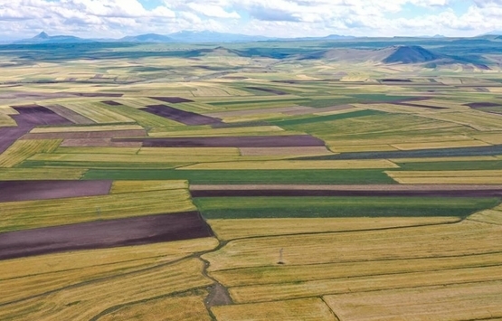 Mersin de arazi kavgası: 2 yaralı!