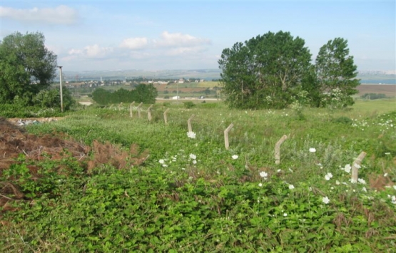 Çatalca Muratbey'de 5,8 milyon TL'ye satılık tarla!