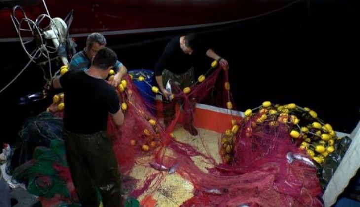 İstanbul Balık Hali nde çılgın indirim start aldı! Hamsi 80 TL, çipura 75 TL, somon 70 TL! 20 Ocak 2023 fiyat listesi