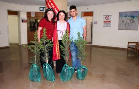 Avanos'ta inşaat ruhsatı başvurusunda bulunanlardan 10 çam fidanı talep ediliyor!