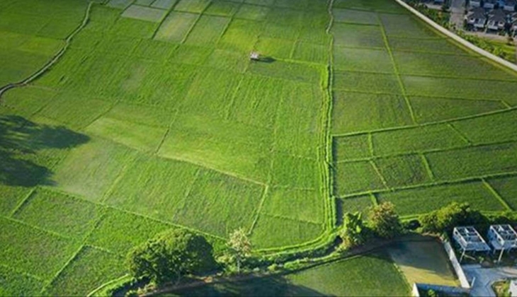 Miras yoluyla tapu sahibi olanlar dikkat! İki yıl boyunca kullanılmayan ve kiralanmayan arazilere Bakanlık kararı!