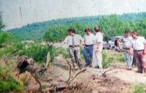 1990 yılında Pendik'te 25 bin dönüm arazi kanunsuz şekilde imara açılmış!