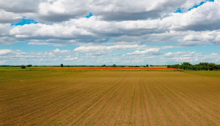 Milli Emlak'tan İzmir'de arsa satışı! Bu habere hemen bakın!