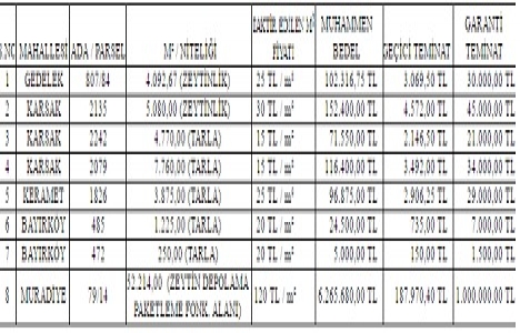 Orhangazi de 6.8 milyon TL ye satılık 8 gayrimenkul!