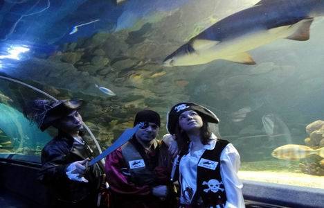 Forum İstanbul Turkuazoo Akvaryum giriş ücreti 2014!