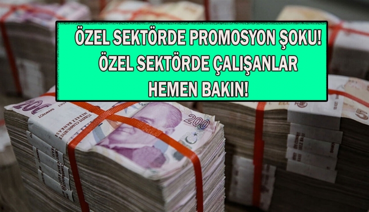 Özel sektör promosyonunda bomba gelişme! Resmen gündeme geldi! Özel sektör çalışanları maaş promosyonu alacak mı?