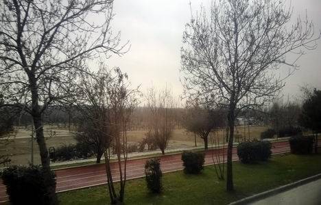 Ankapark ne durumda?