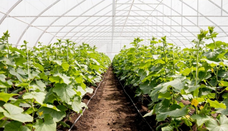 Milli Emlak, Isparta ve Mersin’de 120 bin TL’den başlayan fiyatlarla taksitle arazi satıyor!