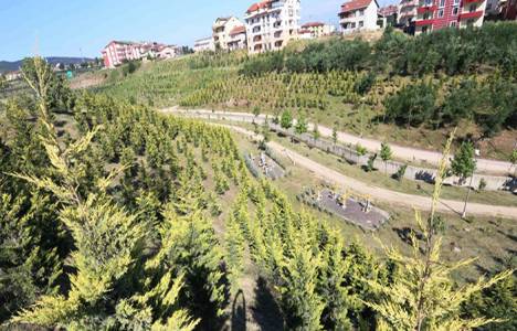 Kocaeli Büyükşehir Belediyesi yıl sonuna kadar 500 bin ağaç dikecek!