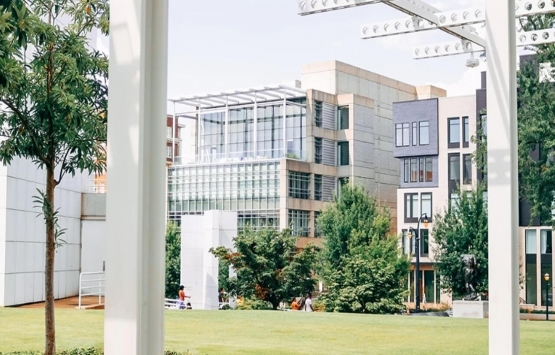 Site yönetiminde lider firma: EOS Management!