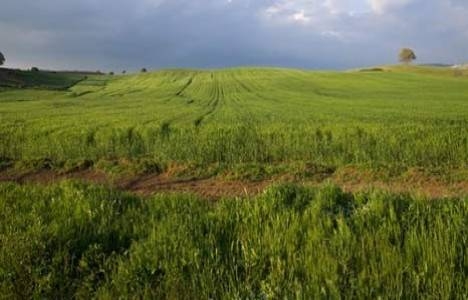 Maliye Bakanlığı 9 ildeki 19 Hazine taşınmazını kiraya verecek!