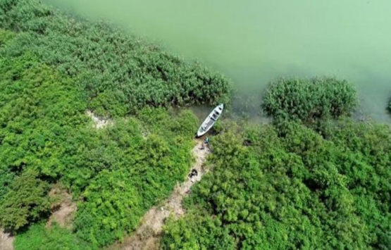 Bursa da 13 milyon TL ye satılık ada!