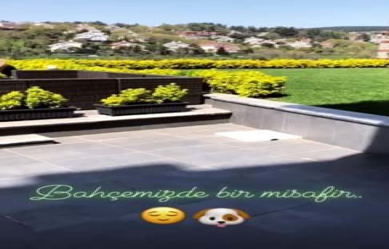 Burak Özçivit ile Fahriye Evcen in merak edilen yeni evi!
