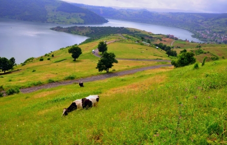 Ovalara bağ evi bile yapmak yasak!