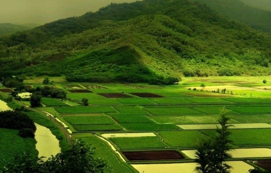 Dominika uyruklu 16 kişi Türkiye’den 231 bin metrekare arsa aldı!