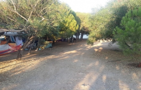 Didim Tavşanburnu Tabiat Parkı'na çevre düzenlemesi yapılacak!