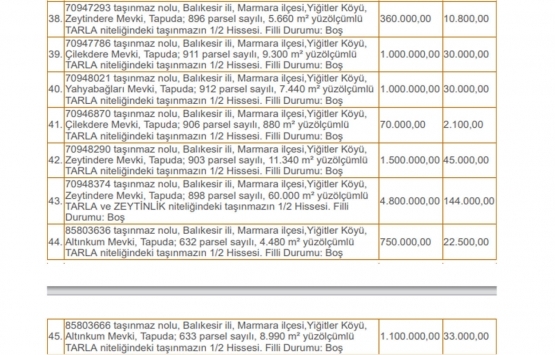 Darülaceze Başkanlığı ndan İstanbul ve Balıkesir de satılık 45 gayrimenkul!