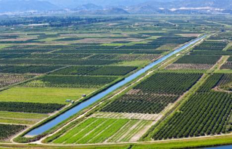 Arazi toplulaştırmasında derecelendirme!