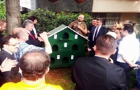 Üsküdar Belediyesi'nden sokak kedilerine 10 yıldızlı otel!
