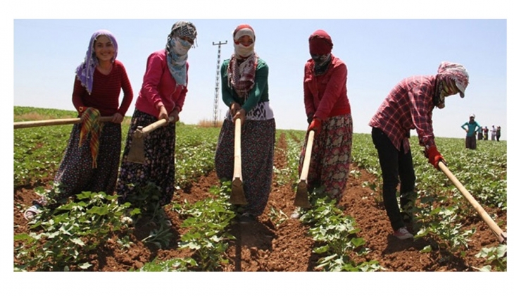 Bakan açıkladı! Kadın çiftçilere 10 milyar liralık destek!