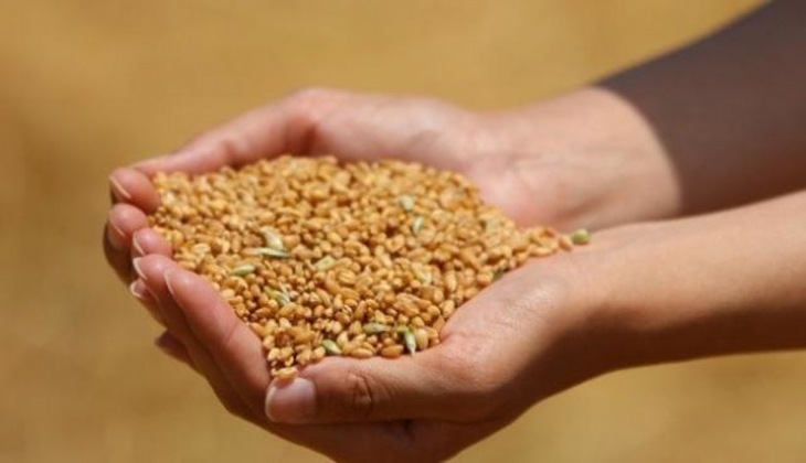 Ne altın ne de dolar! Piyasa Kahini İslam Memiş açıkladı. İlk bahsettiğimde 545 liraydı yıl sonunda 1650 lira olacak