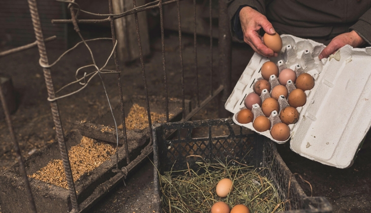30 lu yumurta fiyatları bir yılda ikiye katlandı! Migros, CarrefourSA, Macrocenter da yumurta fiyatları ne kadar?