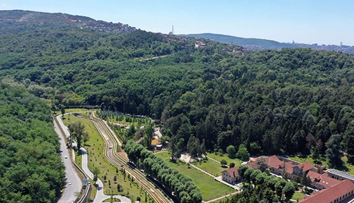 Cumhurbaşkanı Erdoğan, İstanbul Beykoz, İzmir, Artvin ve Bitlis'teki yüzlerce hektarlık alanı orman vasfından çıkardı!