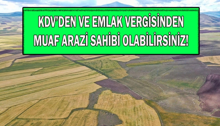 Milli Emlak o ilde 8 taksitle arazi satıyor! Bu fırsatı kaçırmayın!