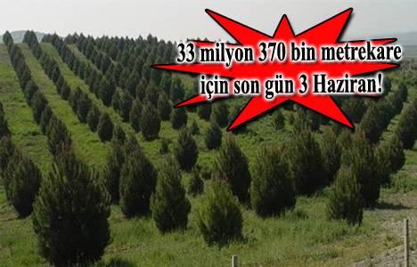 41 ilde özel ağaçlandırma için başvurular başladı!