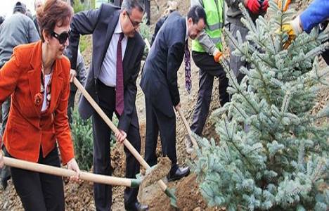 Üniversite Kampüsleri Ağaçlandırma Seferberliği kapsamında 3 milyon fidan dikildi!
