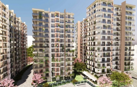 Mari Vadi Evleri nerede?