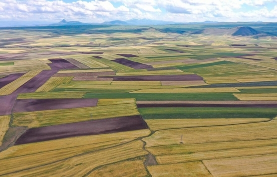 Sınırdaş arazi mağdurları seslerini duyurmak istiyor!