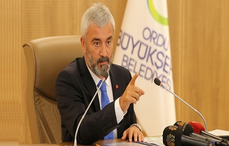 Ordu Ünye Çamlık Projesi 15 milyon liraya yapılacak!