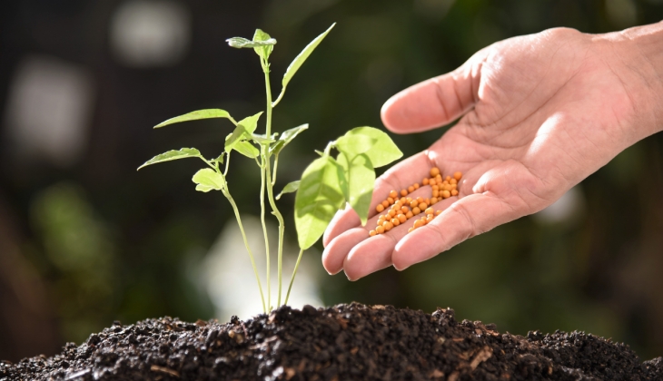 Gübre Fiyatlarındaki Zam, Çiftçileri Zorluyor: Gübre Şirketlerinin 2023 Bilançoları Açıklandı!