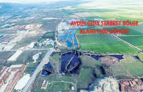 Aydın'a Gıda Serbest Bölgesi kurulacak!