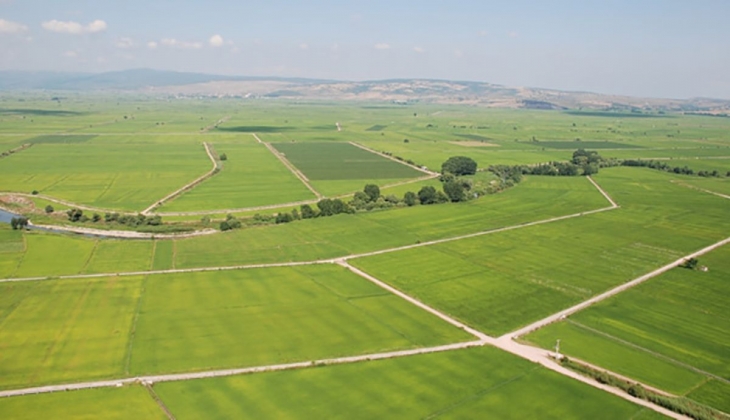 Kupon arsa nedir? Kupon arsa alırken nelere dikkat edilmeli?