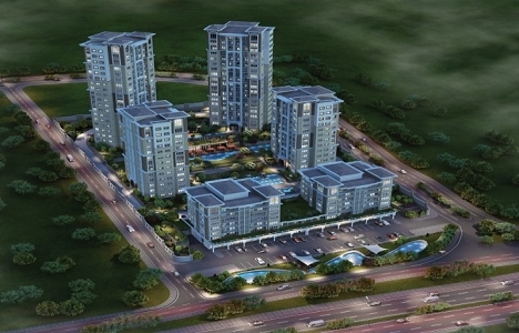 Sofa Loca projesinin görselleri! 22 karede!